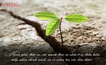 Vẫn còn có lối thoát